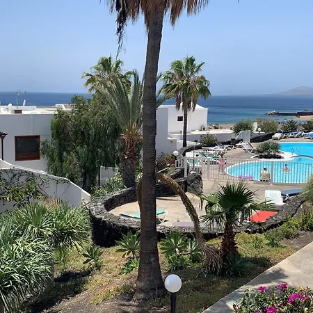 Tabaibas Puerto del Carmen (Lanzarote)